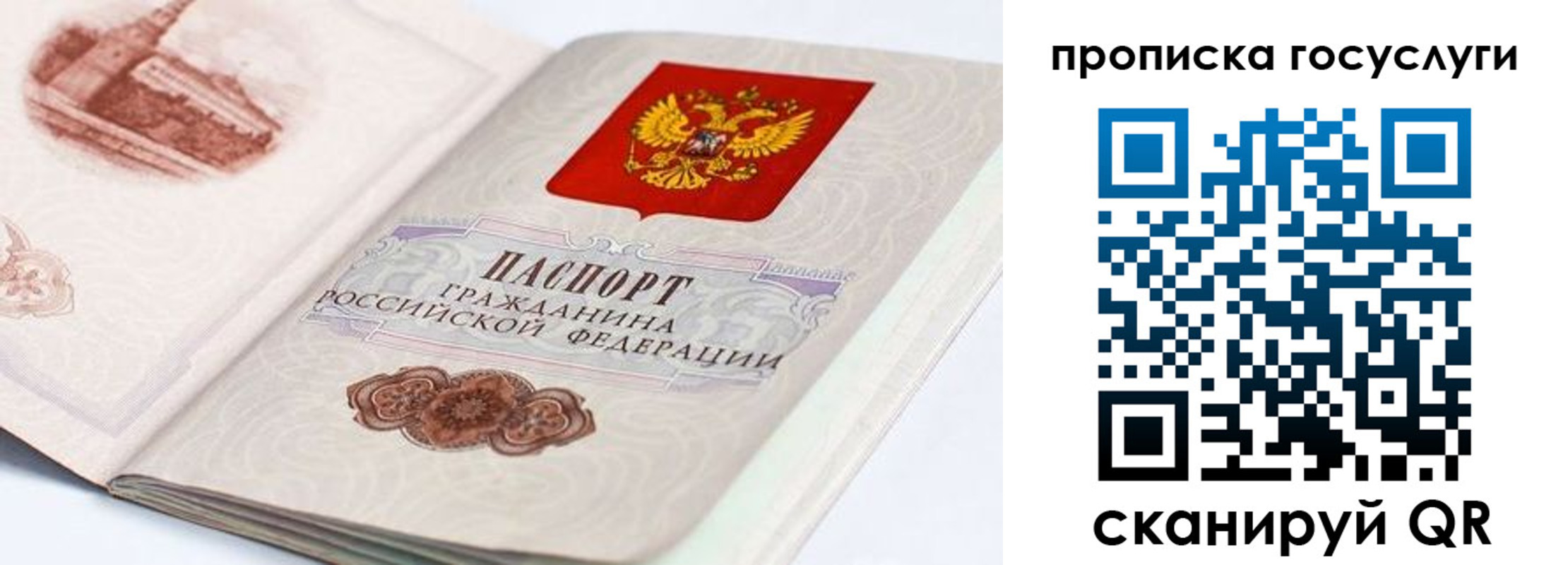 прописка гарантия в Алагире